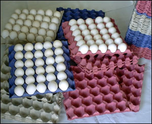 Egg Trays