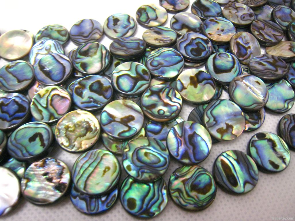 Abalone Shell Bead/paua Shell