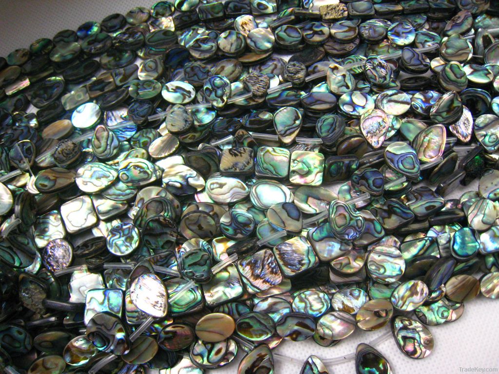 abalone shell bead/paua shell