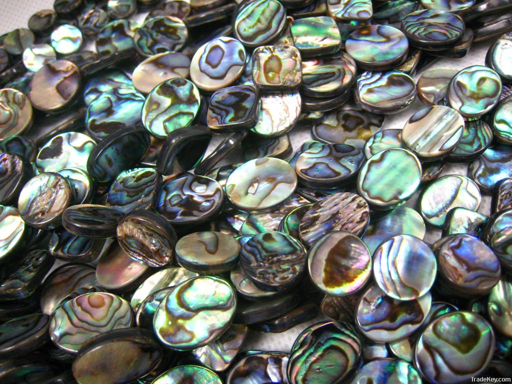 Abalone Shell Bead/paua Shell