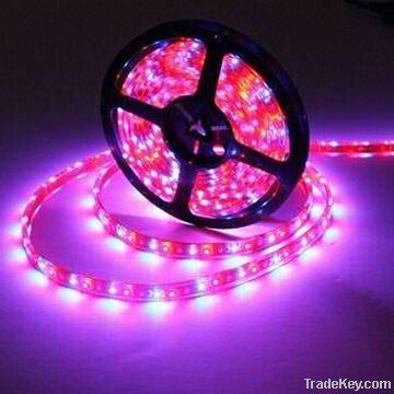 60 LED RGB strip 5050