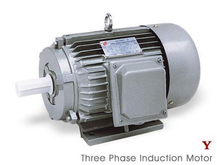 THREE-PHASE INDUCTION MOTOR