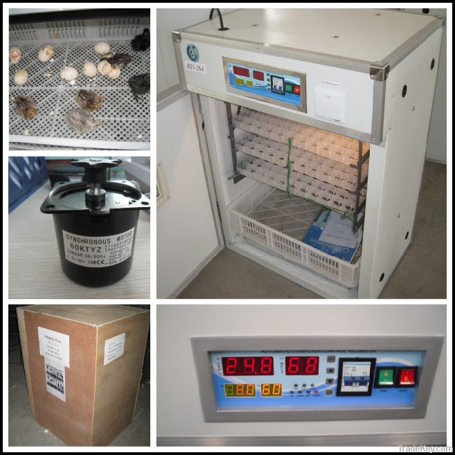 RD-264 poultry  incubator