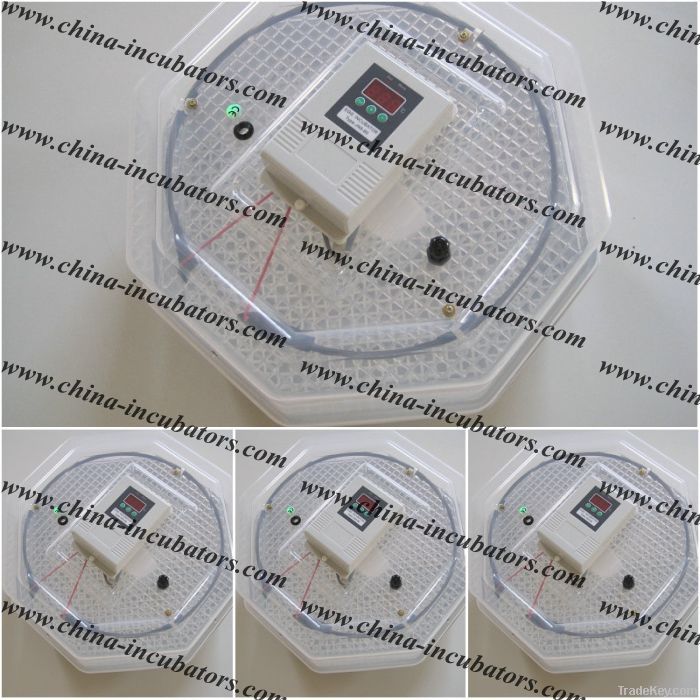 JN2-60 egg incubator