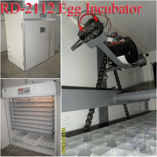 parrot incubator hatching chicken eggs equipment