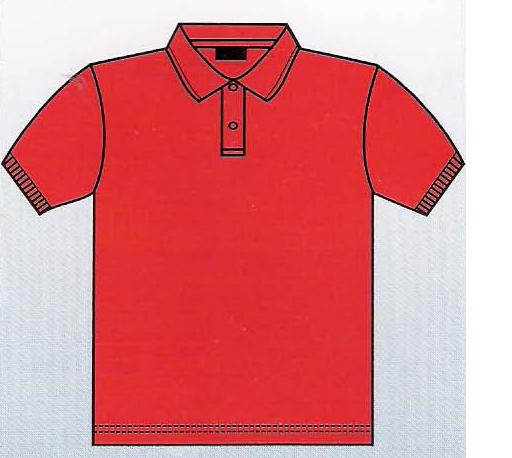 Polo T Shirt