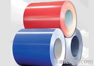 Color steel sheet in coil