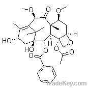 7, 10-Dimethoxy-10-DAB III