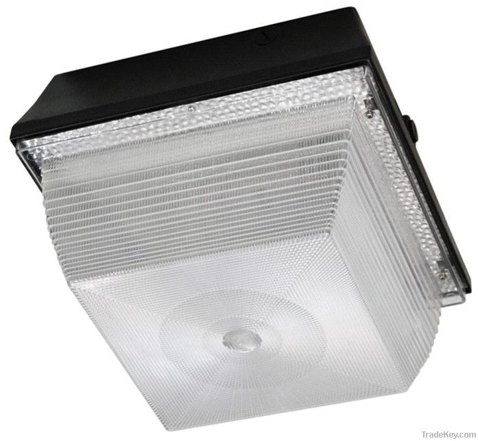 Induction ceiling light