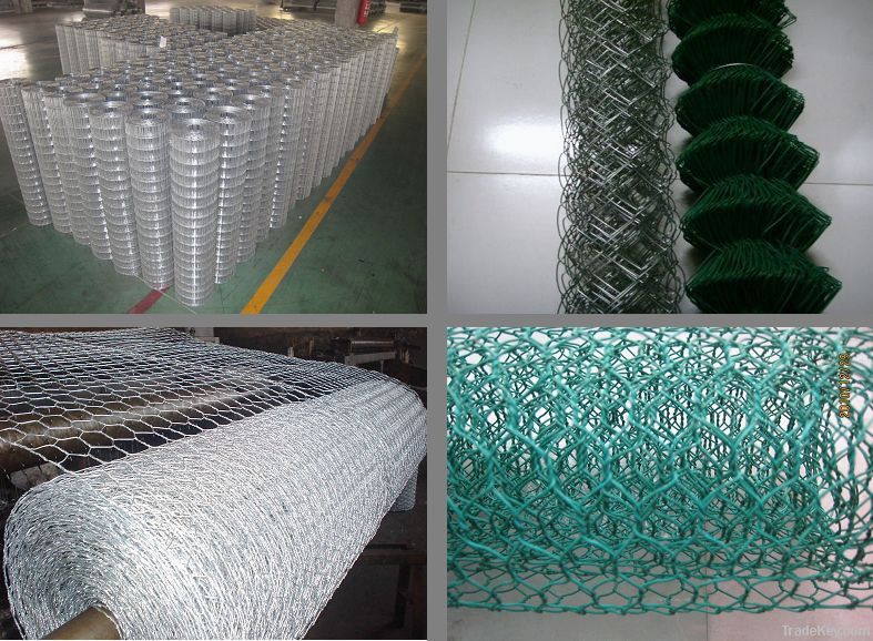 Hexagonal steel wire mesh