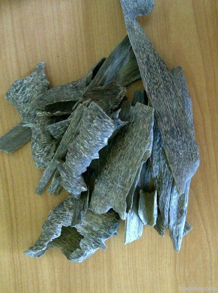 Agarwood