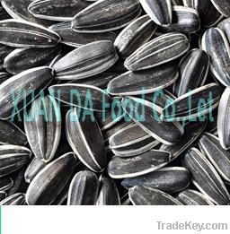 SUNFLOWER SEEDS 5009