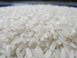 BASMATI RICE EXPORTER| KERNAL RICE WHOLESALER| WHITE RICE MANUFACTURER| LONG GRAIN TRADER| PARBOILED RICE IMPORTERS