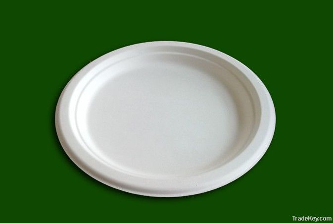 9 inch plate