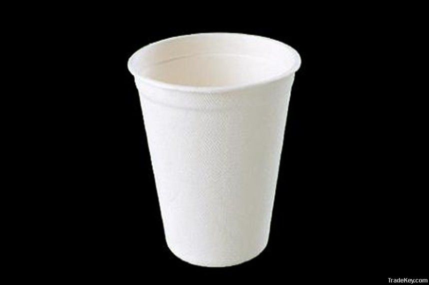 eco-friendly  cup