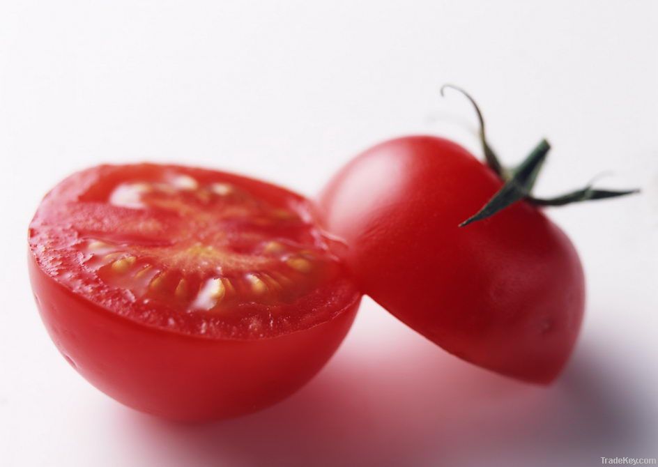 100% pure tomato paste