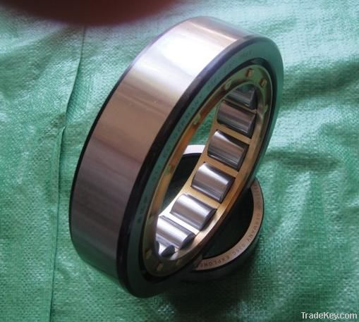 2012 VEHICLE USE WZA  cylindrical roller bearings