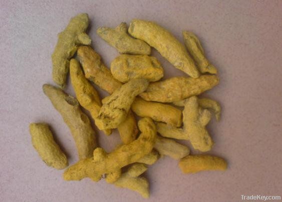 Dry Turmeric