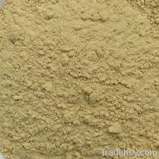 Dry Ginger Powder