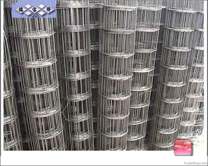 welded wire mesh DBL-A