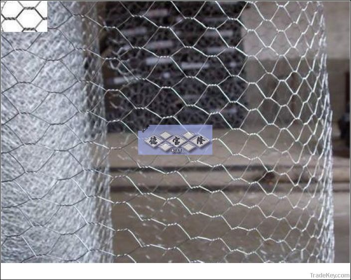 hexagonal wire mesh DBL-A