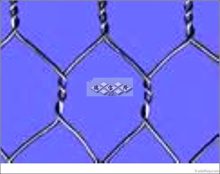 hexagonal wire mesh DBL-A