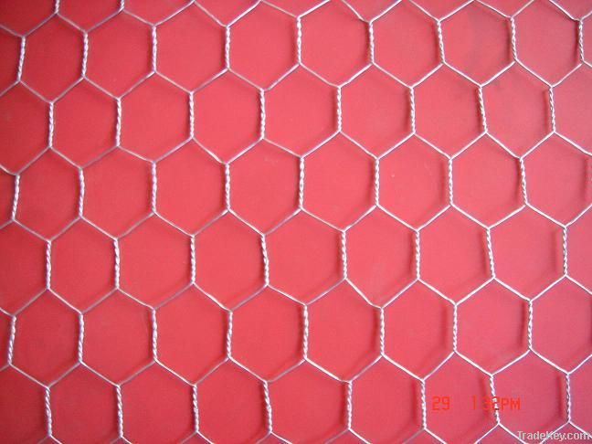 Hexagonal Wire Netting DBL-B