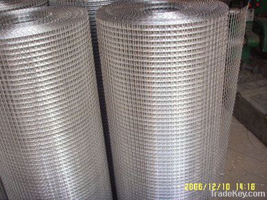 Hot Dipped Galvanized welded wire mesh DBL-E