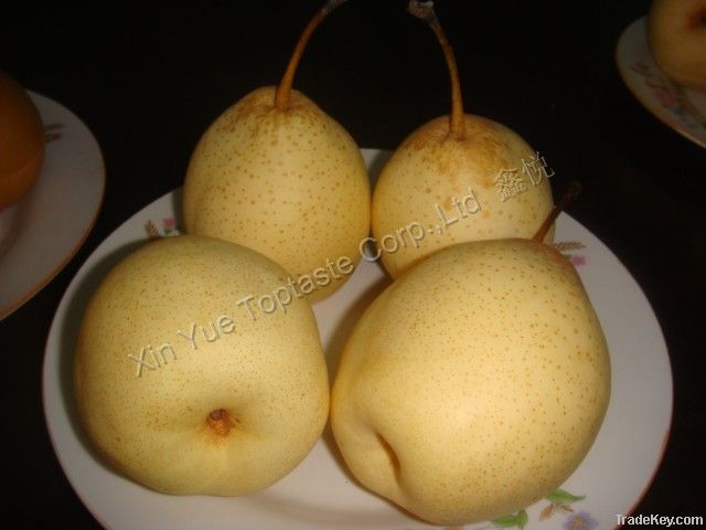 2011 chinese fresh ya pear in season