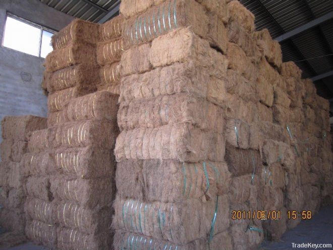 coconut coir