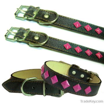 Dog Collars&Leashes