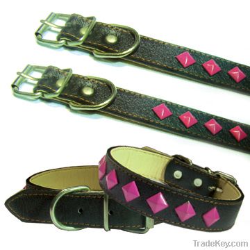 Dog Collars&amp;Leashes