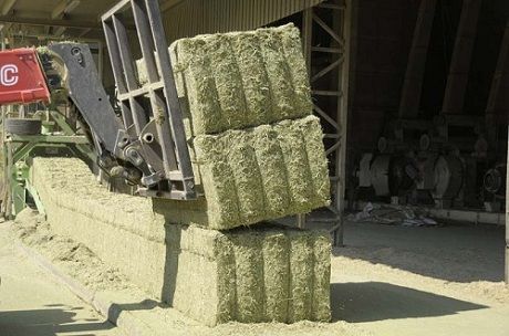 Alfalfa Bales