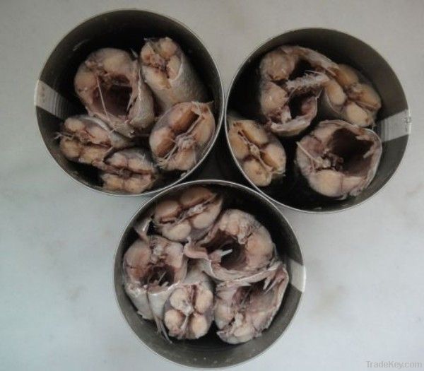 canned mackerel in brine