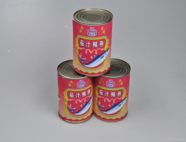 canned mackerel in tomato sauce