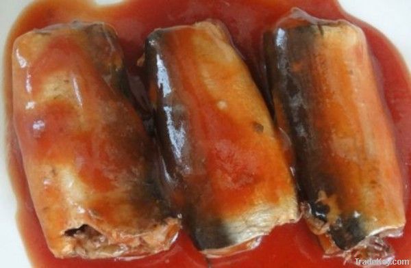 canned sardine in tomato sauce