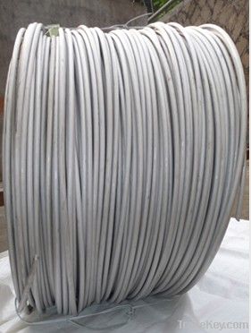 Stainless steel wire rod