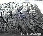 AISI Grade 316L wire coil