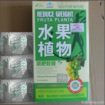 2011 hot sale reduce weight fruta planta