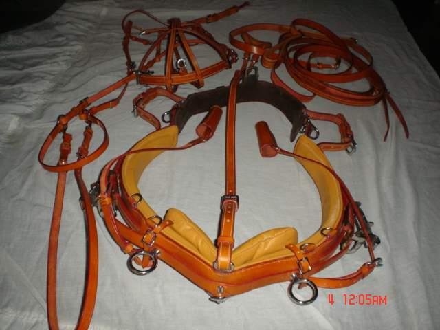 TROTTING HARNESS