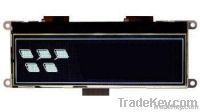 LCD Module (240x64)
