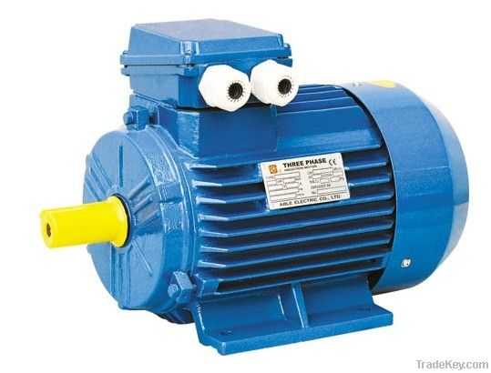 Three Phase Electric Motor