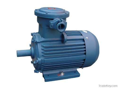 Explosion Proof Three Phase Motor