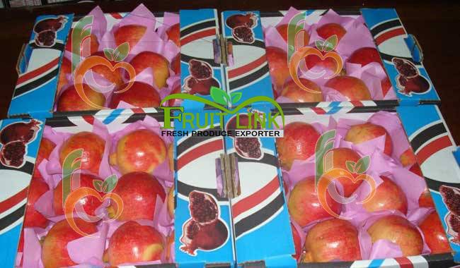 Fresh Egyptian Pomegranates by Fruit Link Company 