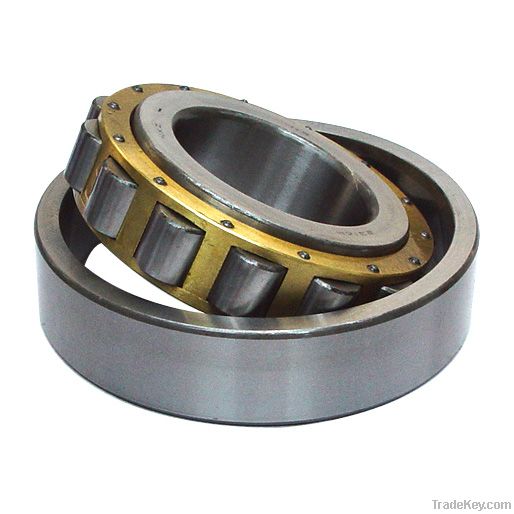 Cylindrical roller bearing Double Row