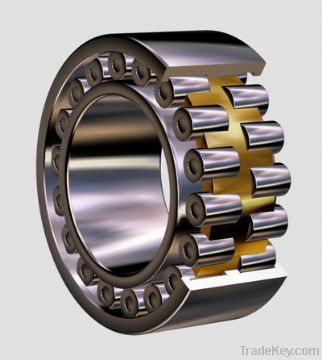 Cylindrical roller bearing Single RowNU204