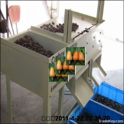 semi-automatic cashew shelling machine