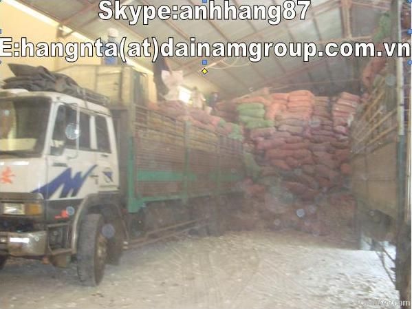 Sell Tapioca Chip for Animal Feed or Extracting ethanol