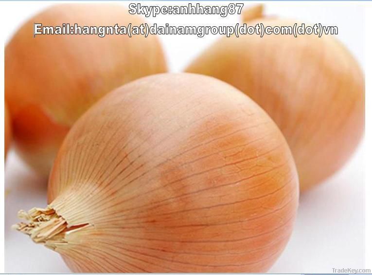 Vietnam fresh onion