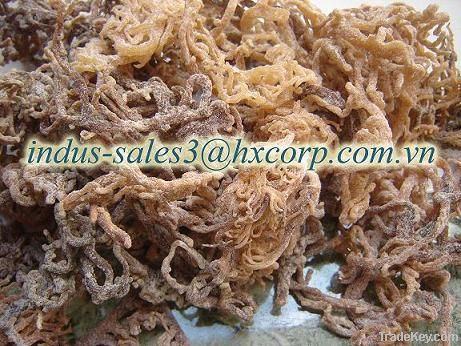 Sell Dried Seaweed